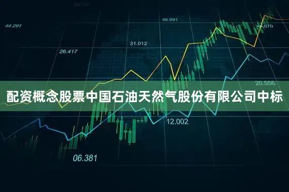 配资概念股票中国石油天然气股份有限公司中标